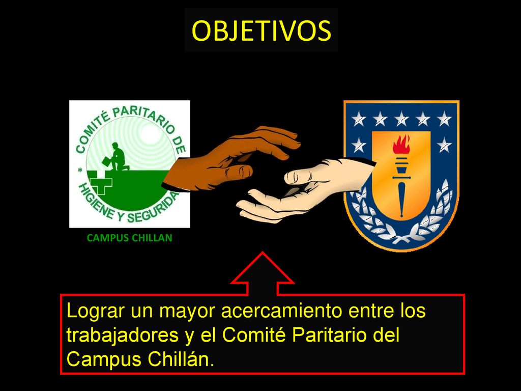 OBJETIVOS Lograr un mayor acercamiento entre los trabajadores y el Comité Paritario del Campus Chillán.