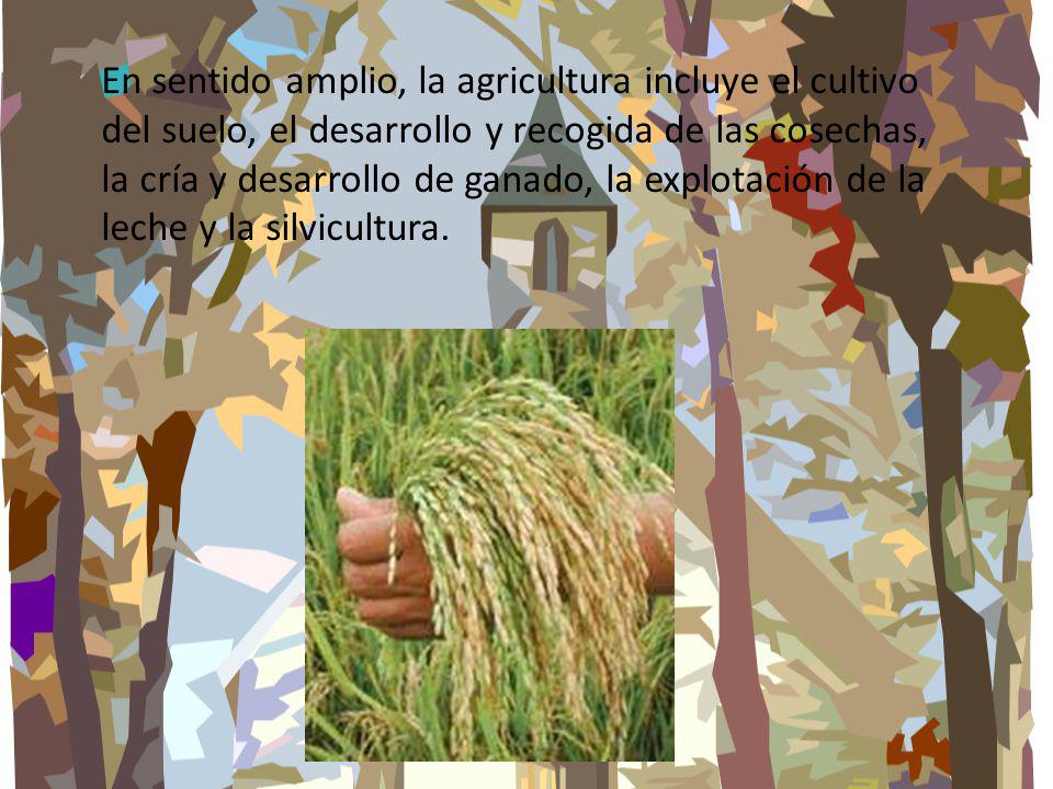 En sentido amplio, la agricultura incluye el cultivo del suelo, el desarrollo y recogida de las cosechas, la cría y desarrollo de ganado, la explotación de la leche y la silvicultura.