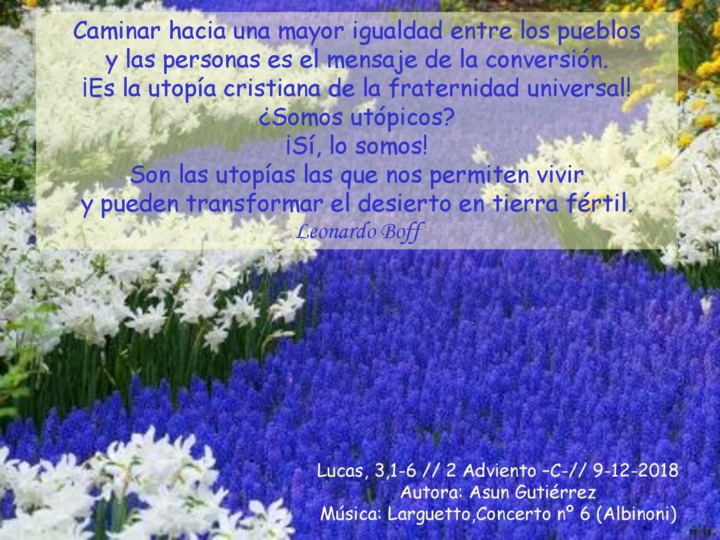 ¡Es la utopía cristiana de la fraternidad universal! ¿Somos utópicos