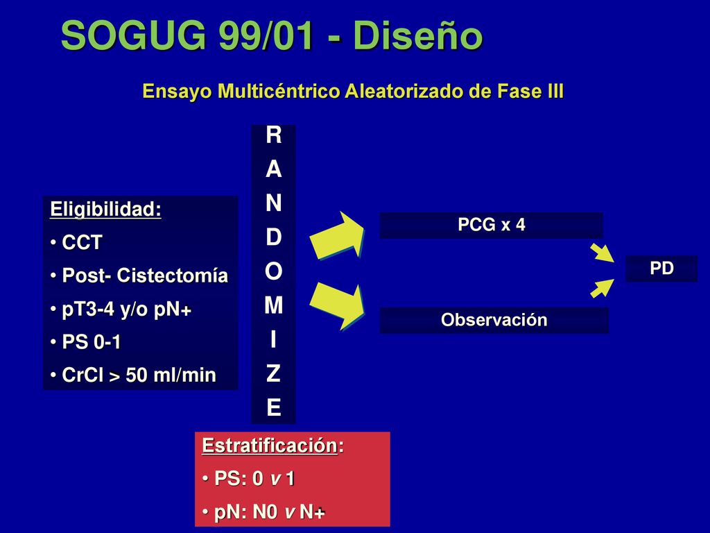 SOGUG 99/01 - Diseño R A N D O M I Z E