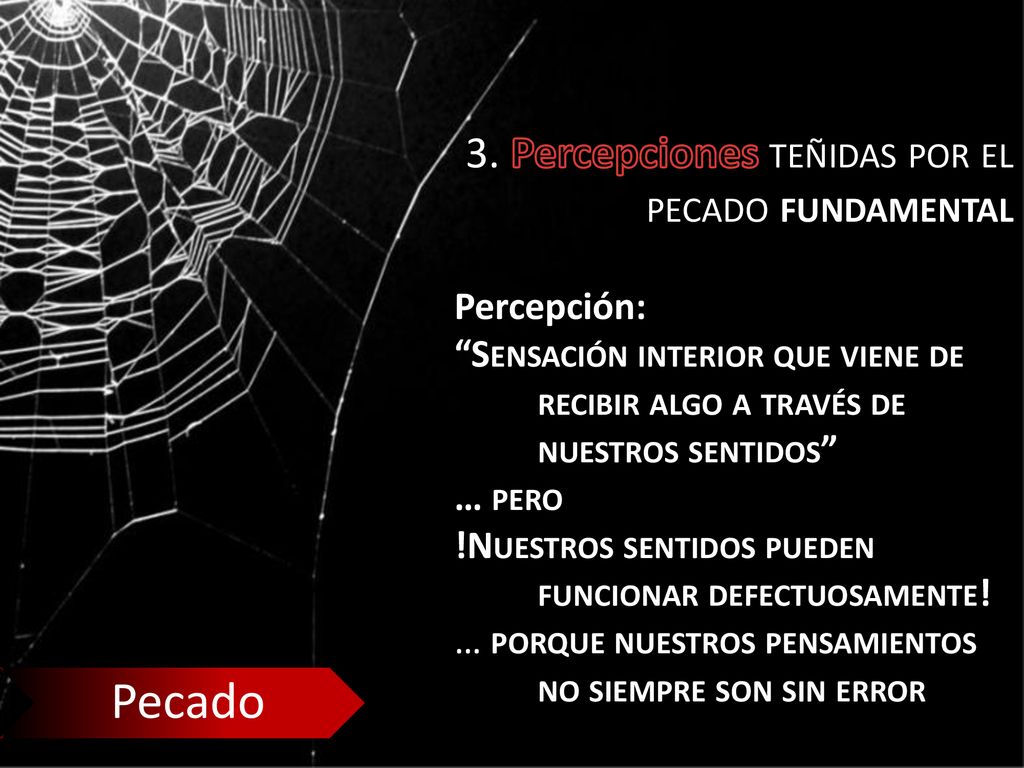 Pecado 3. Percepciones teñidas por el pecado fundamental Percepción: