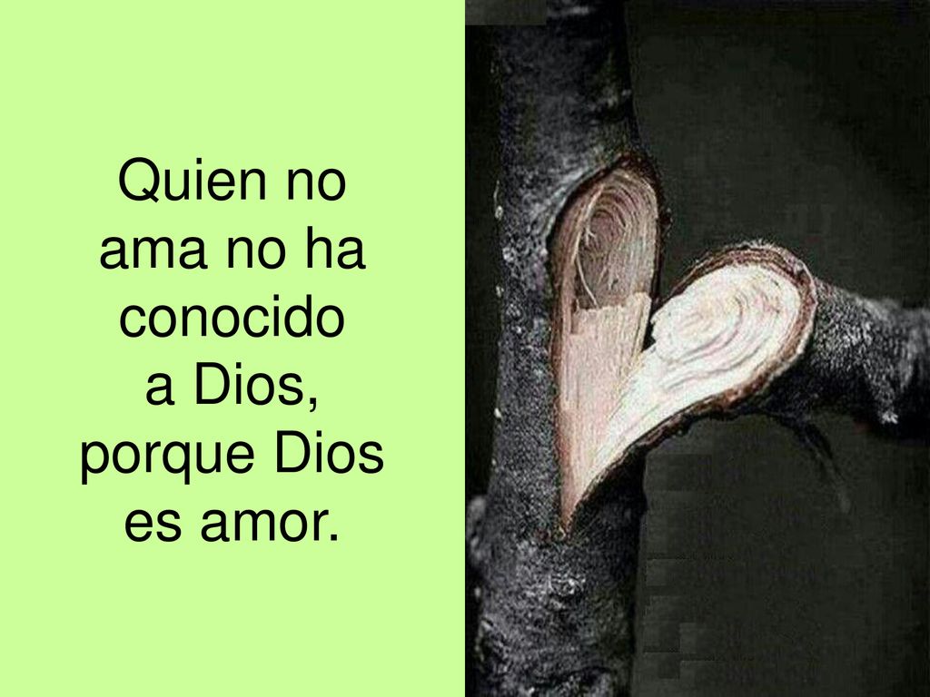 Quien no ama no ha conocido a Dios, porque Dios es amor.