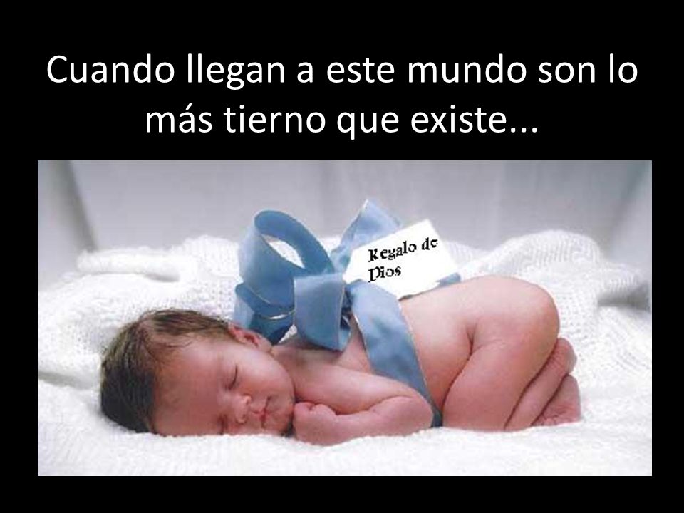 Cuando llegan a este mundo son lo más tierno que existe...