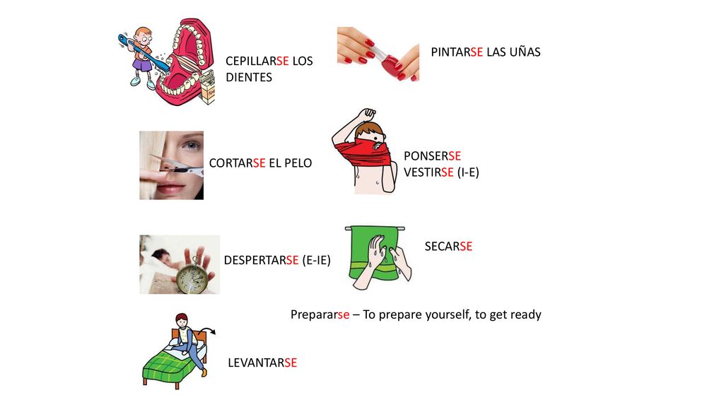 PINTARSE LAS UÑAS CEPILLARSE LOS. DIENTES. PONSERSE. VESTIRSE (I-E) CORTARSE EL PELO. SECARSE.