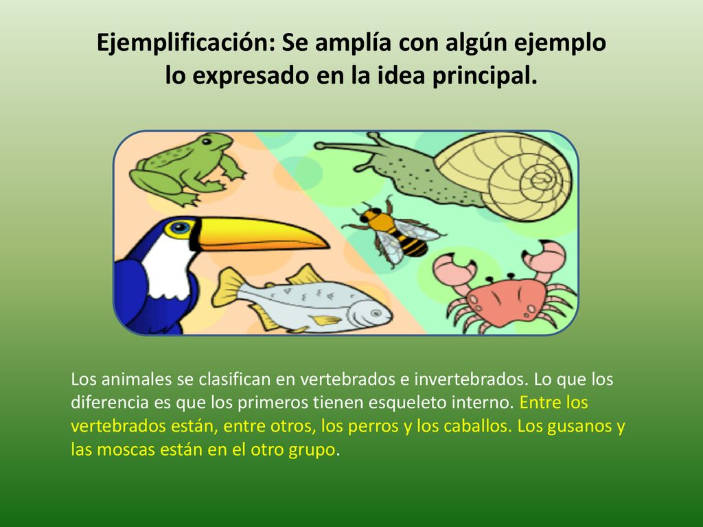 Ejemplificación: Se amplía con algún ejemplo lo expresado en la idea principal.