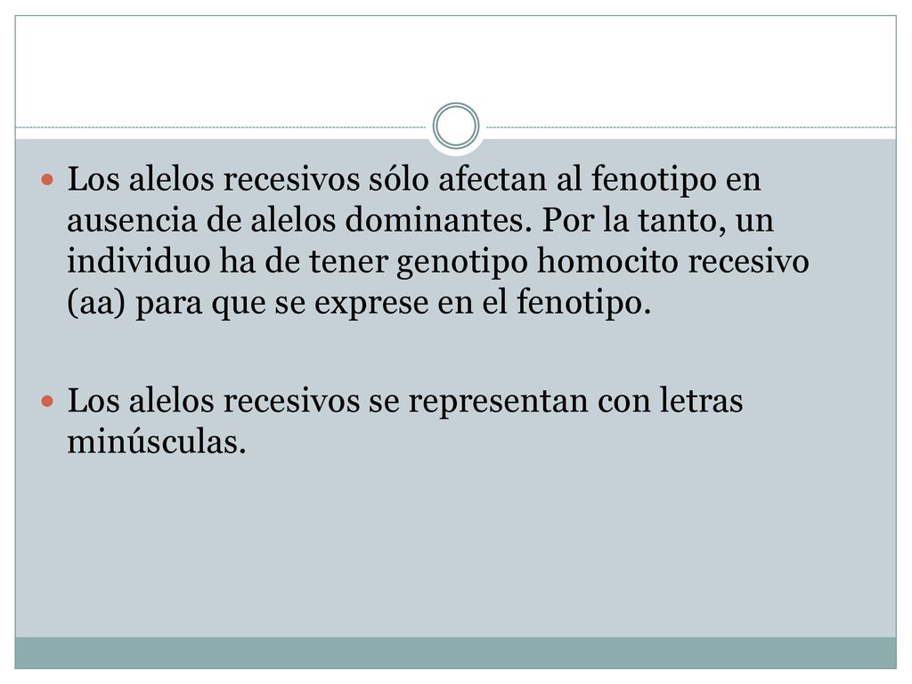 Los alelos recesivos sólo afectan al fenotipo en ausencia de alelos dominantes. Por la tanto, un individuo ha de tener genotipo homocito recesivo (aa) para que se exprese en el fenotipo.