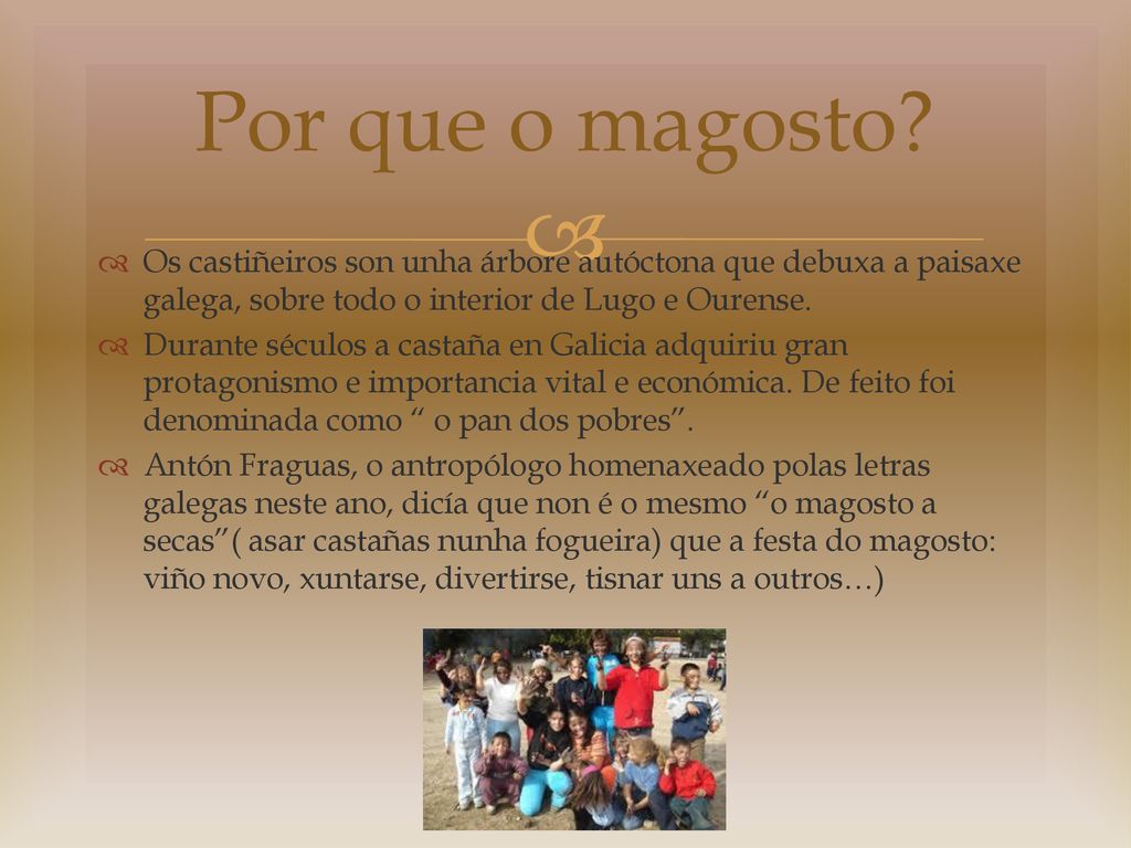 Por que o magosto Os castiñeiros son unha árbore autóctona que debuxa a paisaxe galega, sobre todo o interior de Lugo e Ourense.