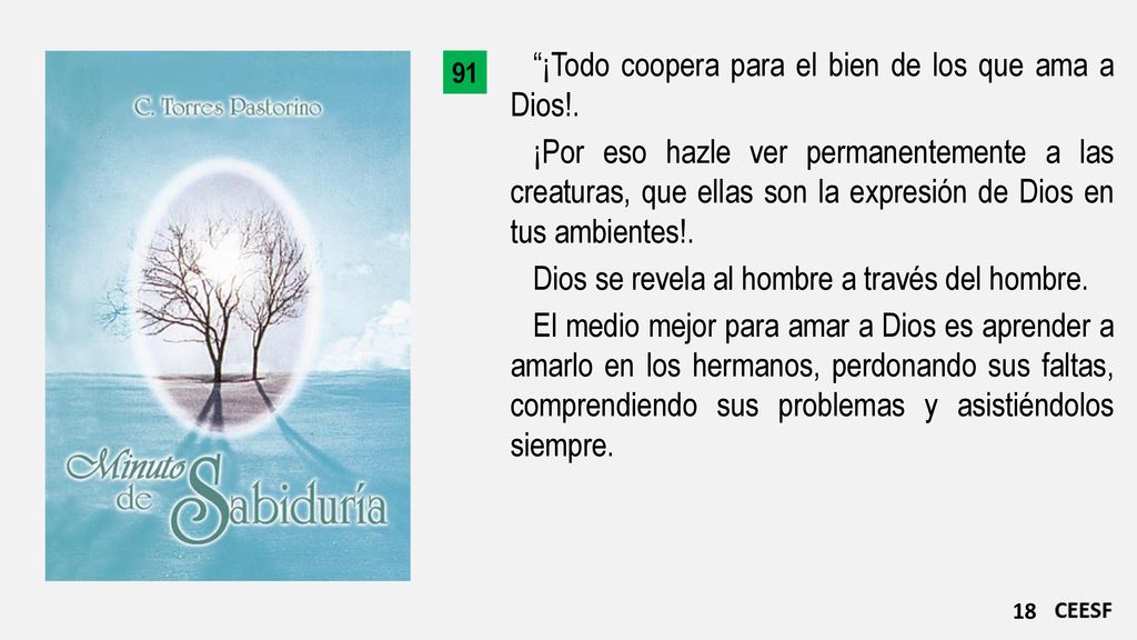 ¡Todo coopera para el bien de los que ama a Dios!.