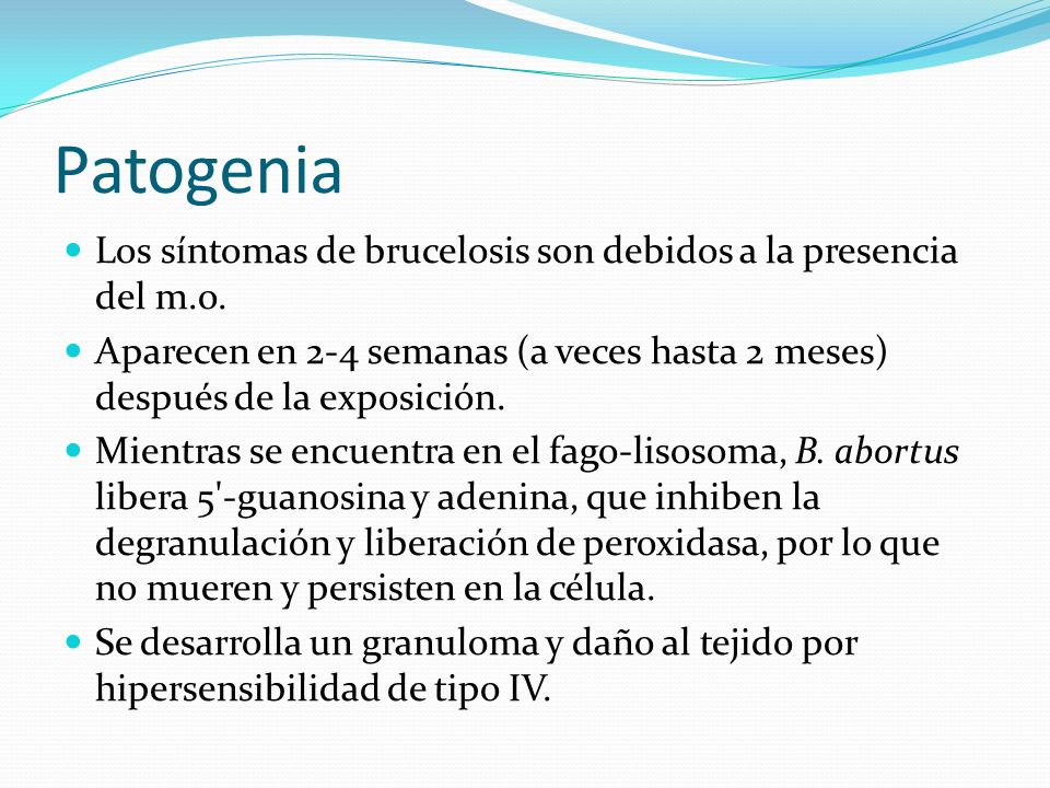 Patogenia Los síntomas de brucelosis son debidos a la presencia del m.o. Aparecen en 2-4 semanas (a veces hasta 2 meses) después de la exposición.
