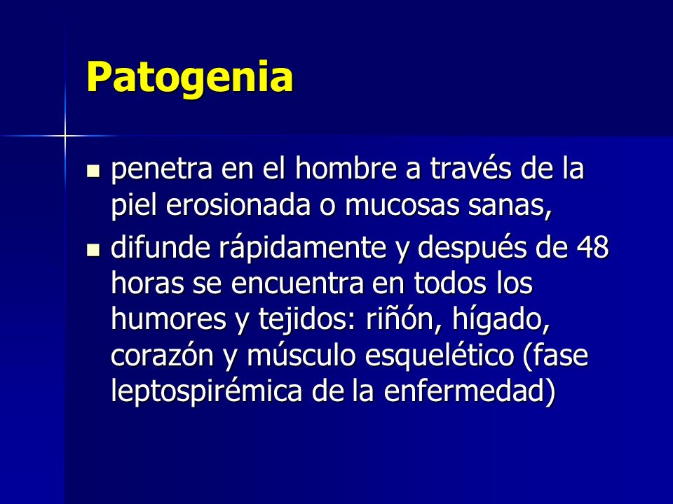 Patogenia penetra en el hombre a través de la piel erosionada o mucosas sanas,