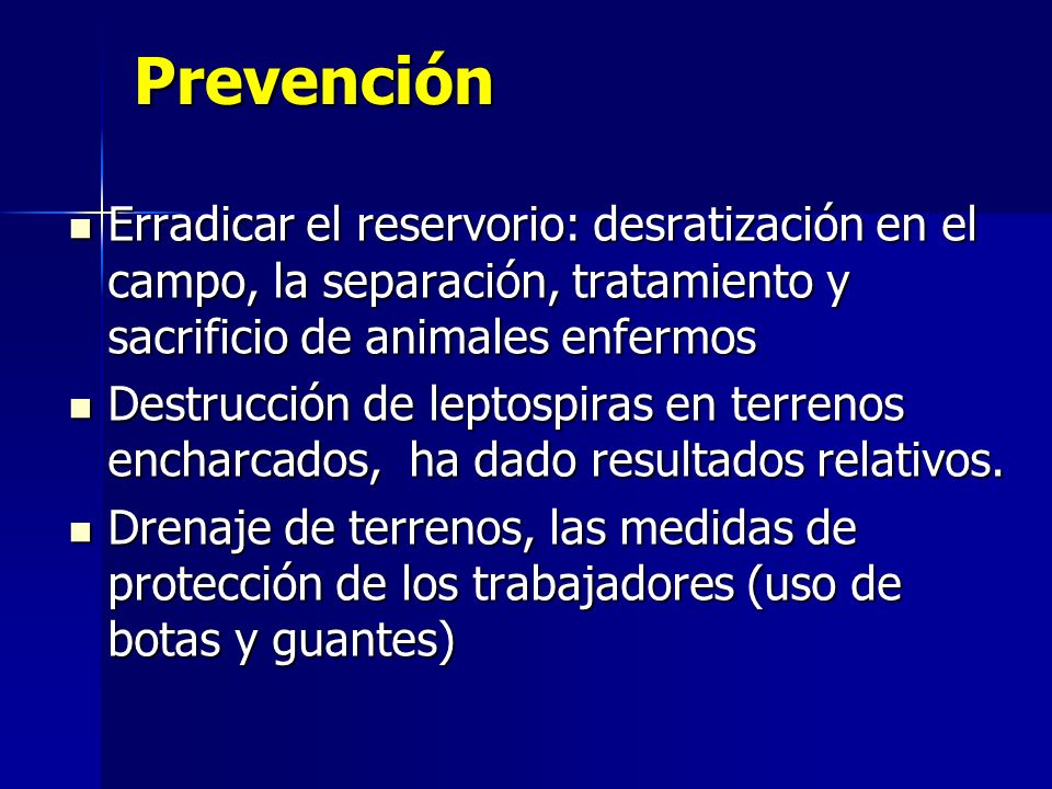 Prevención Erradicar el reservorio: desratización en el campo, la separación, tratamiento y sacrificio de animales enfermos.