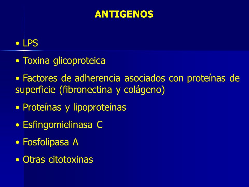 ANTIGENOS LPS. Toxina glicoproteica. Factores de adherencia asociados con proteínas de superficie (fibronectina y colágeno)