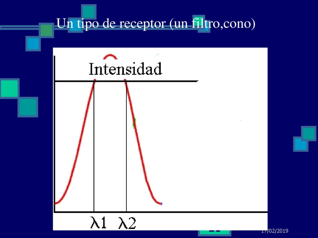 Un tipo de receptor (un filtro,cono)