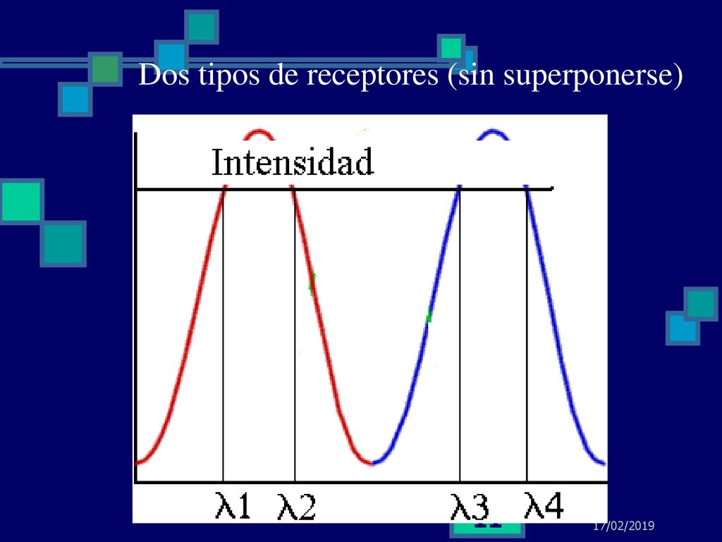 Dos tipos de receptores (sin superponerse)