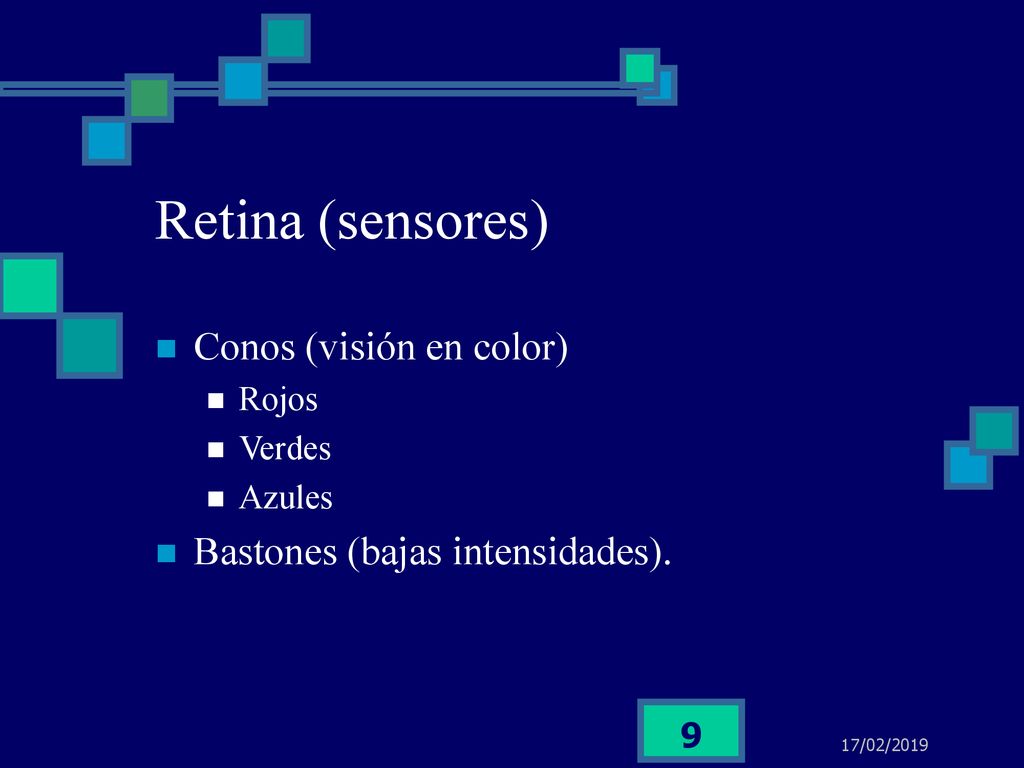 Retina (sensores) Conos (visión en color)