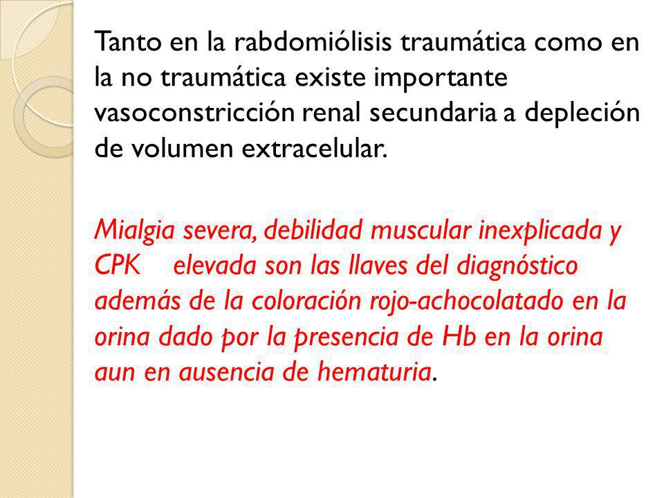 Tanto en la rabdomiólisis traumática como en la no traumática existe importante vasoconstricción renal secundaria a depleción de volumen extracelular.