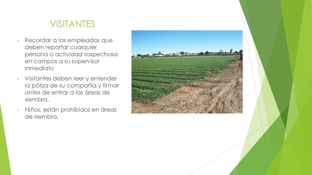 VISITANTES Recordar a los empleados que deben reportar cualquier persona o actividad sospechosa en campos a su supervisor inmediato.