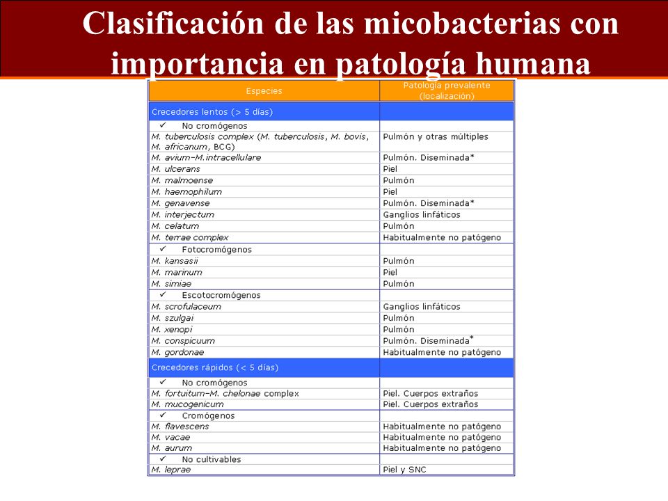 Clasificación de las micobacterias con importancia en patología humana