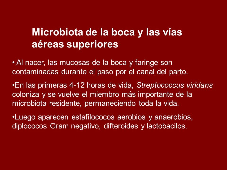 Microbiota de la boca y las vías aéreas superiores