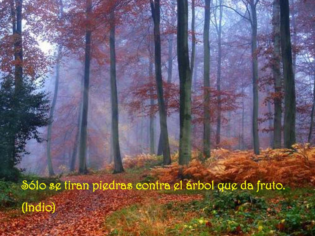 Sólo se tiran piedras contra el árbol que da fruto.