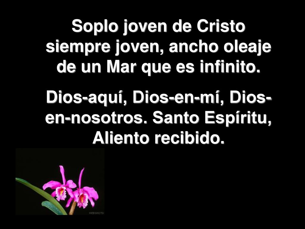 Soplo joven de Cristo siempre joven, ancho oleaje de un Mar que es infinito.