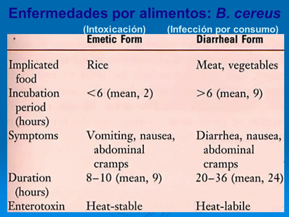 Enfermedades por alimentos: B. cereus (Infección por consumo)