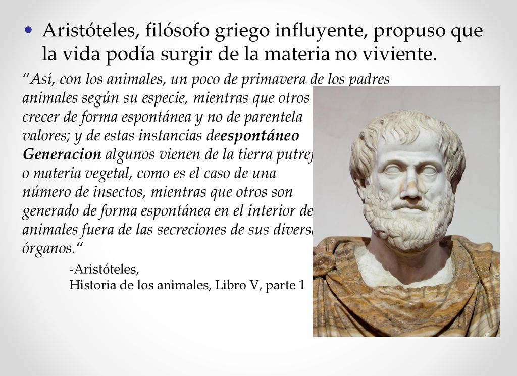 Aristóteles, filósofo griego influyente, propuso que la vida podía surgir de la materia no viviente.