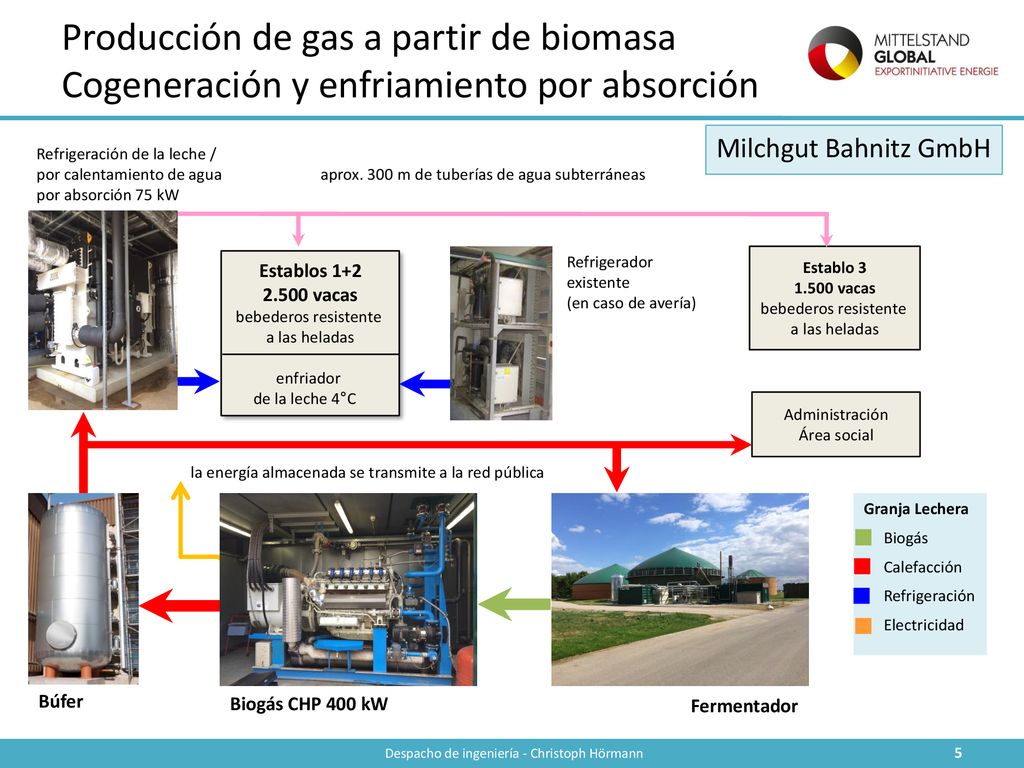 Producción de gas a partir de biomasa Cogeneración y enfriamiento por absorción