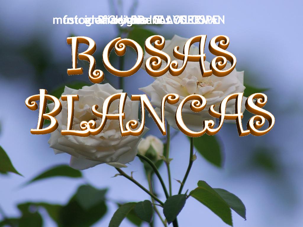 idea original ALOSPE fotografía y diseños ALOSPE textos IE música RICHARD CLAYDERMAN
