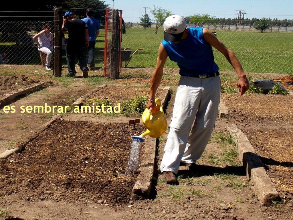 es sembrar amistad felicidad es vivir cercado de amor