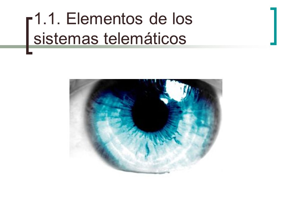 1.1. Elementos de los sistemas telemáticos