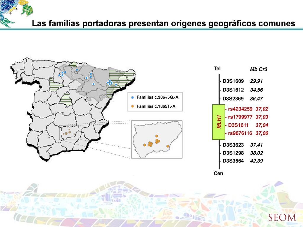Las familias portadoras presentan orígenes geográficos comunes