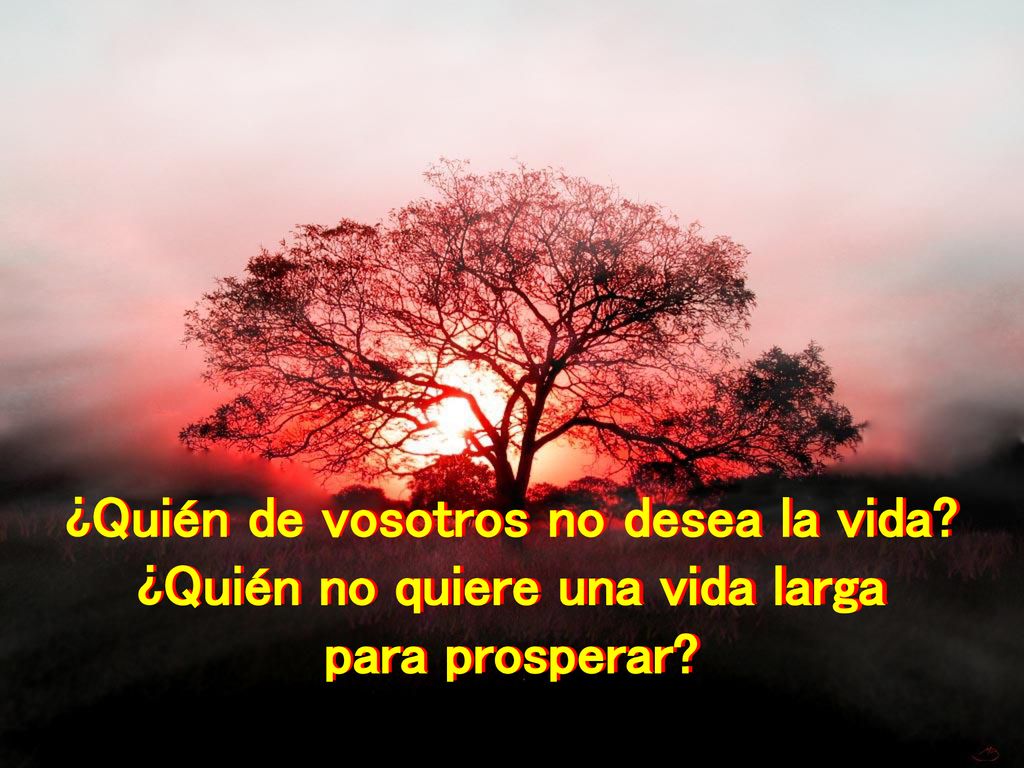 ¿Quién de vosotros no desea la vida ¿Quién no quiere una vida larga