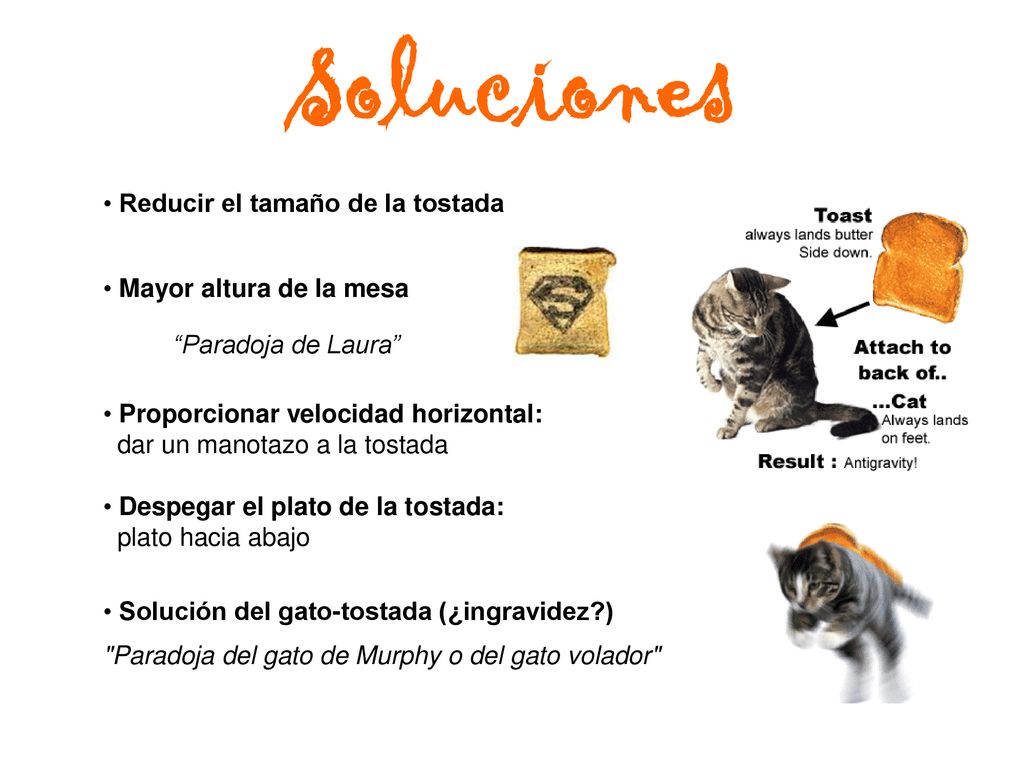 Soluciones Reducir el tamaño de la tostada Mayor altura de la mesa