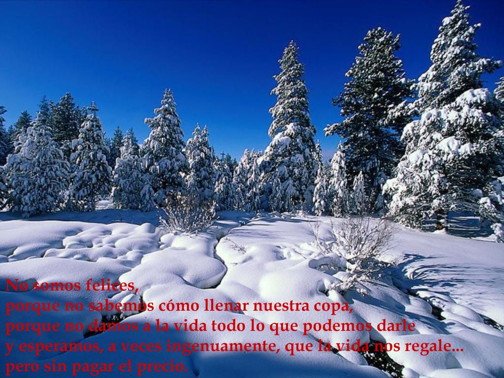 No somos felices, porque no sabemos cómo llenar nuestra copa, porque no damos a la vida todo lo que podemos darle.