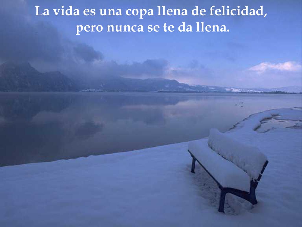 La vida es una copa llena de felicidad, pero nunca se te da llena.