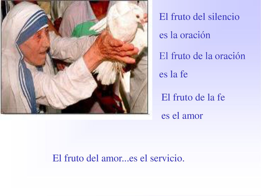 El fruto del silencio es la oración. El fruto de la oración. es la fe. El fruto de la fe. es el amor.