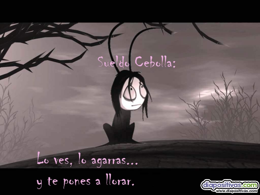 Sueldo Cebolla: Lo ves, lo agarras... y te pones a llorar.