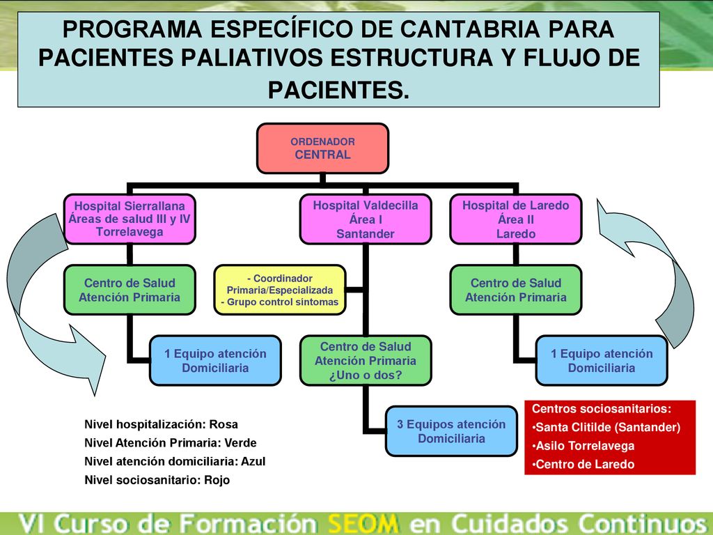 PROGRAMA ESPECÍFICO DE CANTABRIA PARA PACIENTES PALIATIVOS ESTRUCTURA Y FLUJO DE PACIENTES.