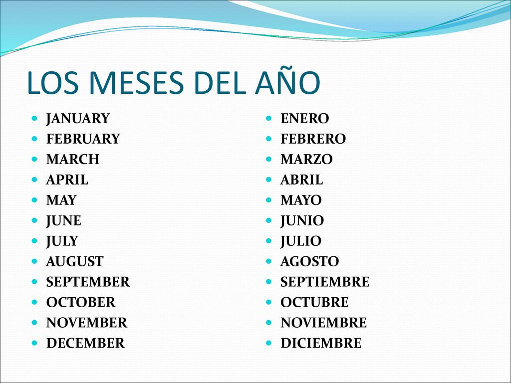 LOS MESES DEL AÑO JANUARY FEBRUARY MARCH APRIL MAY JUNE JULY AUGUST