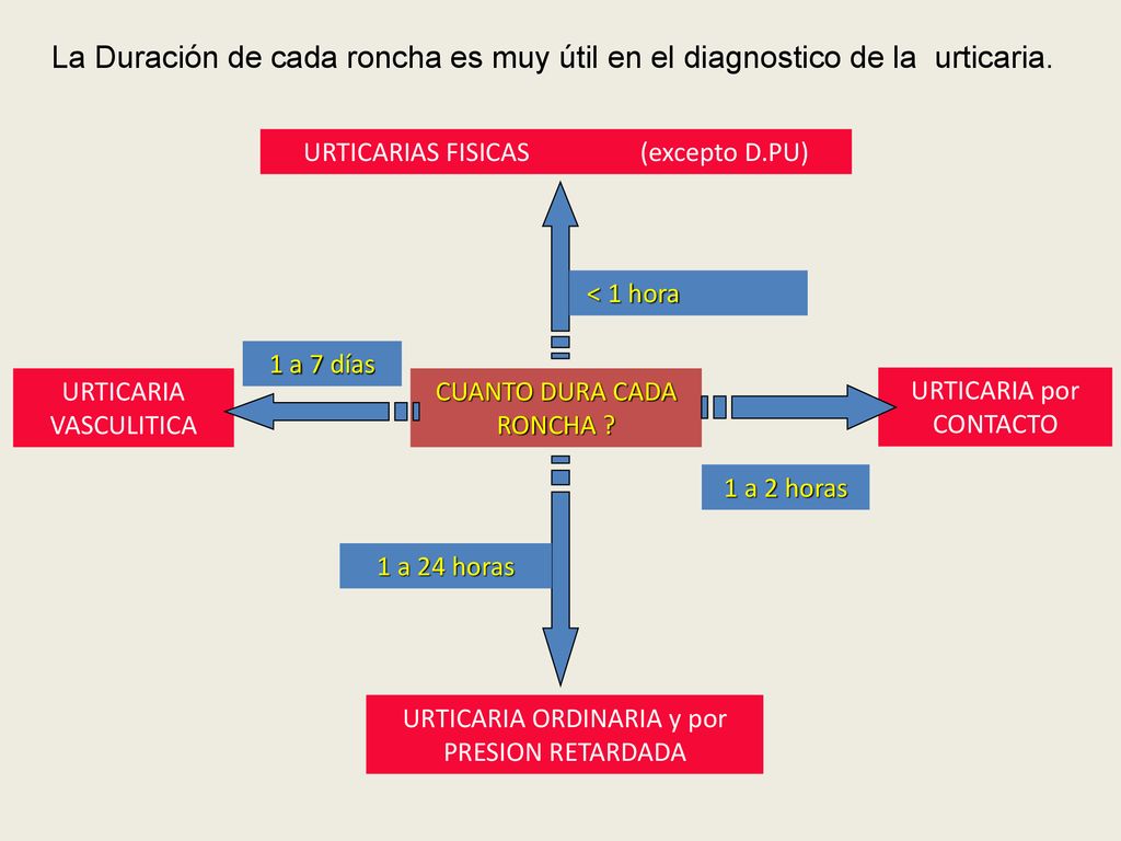 La Duración de cada roncha es muy útil en el diagnostico de la urticaria.