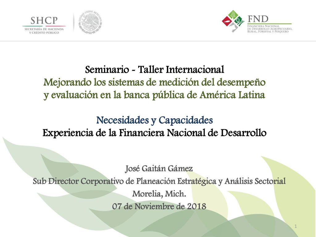 Seminario - Taller Internacional Mejorando los sistemas de medición del desempeño y evaluación en la banca pública de América Latina Necesidades y Capacidades Experiencia de la Financiera Nacional de Desarrollo