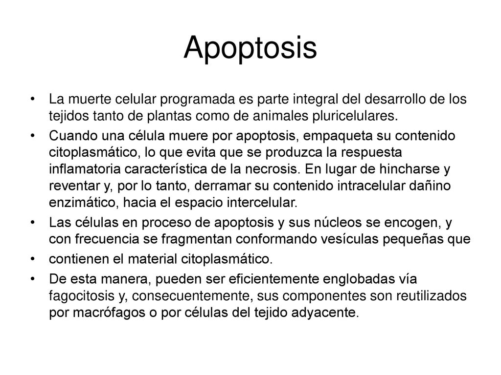 Apoptosis La muerte celular programada es parte integral del desarrollo de los tejidos tanto de plantas como de animales pluricelulares.
