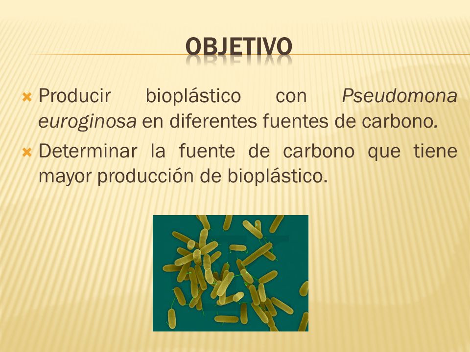 Objetivo Producir bioplástico con Pseudomona euroginosa en diferentes fuentes de carbono.