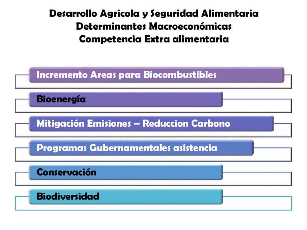 Desarrollo Agricola y Seguridad Alimentaria Determinantes Macroeconómicas Competencia Extra alimentaria