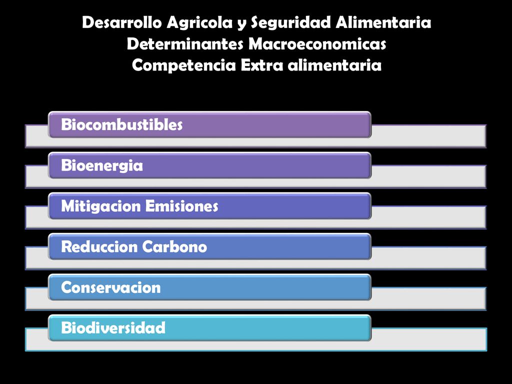 Desarrollo Agricola y Seguridad Alimentaria Determinantes Macroeconomicas Competencia Extra alimentaria