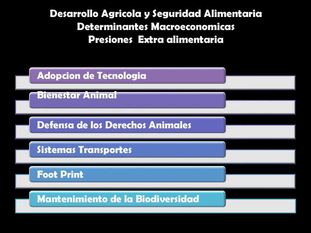 Desarrollo Agricola y Seguridad Alimentaria Determinantes Macroeconomicas Presiones Extra alimentaria