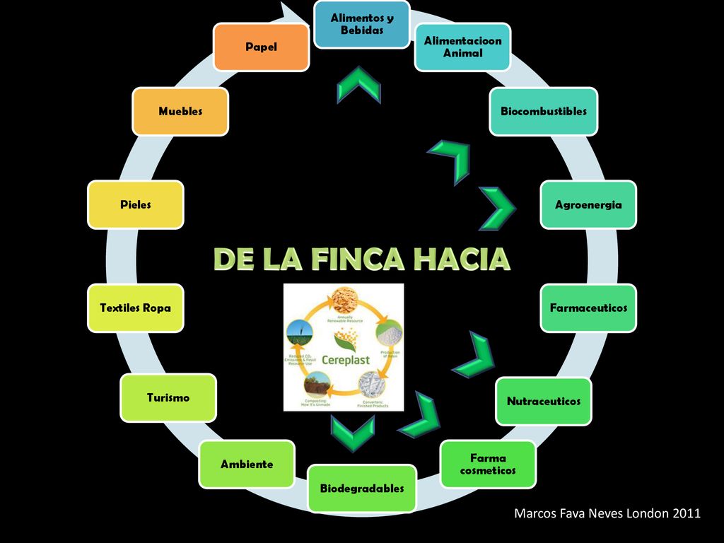 DE LA FINCA HACIA Marcos Fava Neves London 2011 Alimentos y Bebidas