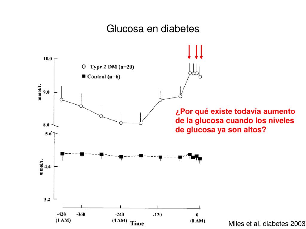 Glucosa en diabetes ¿Por qué existe todavía aumento de la glucosa cuando los niveles de glucosa ya son altos
