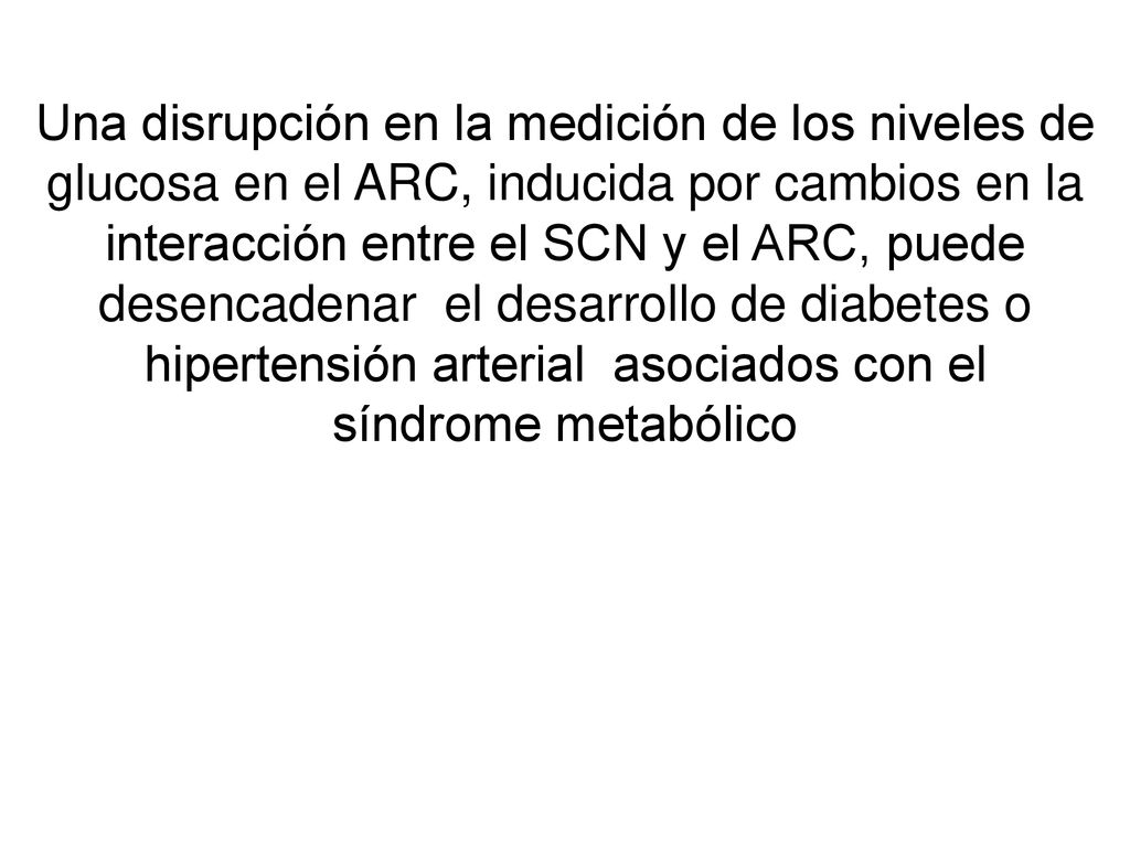 Una disrupción en la medición de los niveles de glucosa en el ARC, inducida por cambios en la interacción entre el SCN y el ARC, puede desencadenar el desarrollo de diabetes o hipertensión arterial asociados con el síndrome metabólico